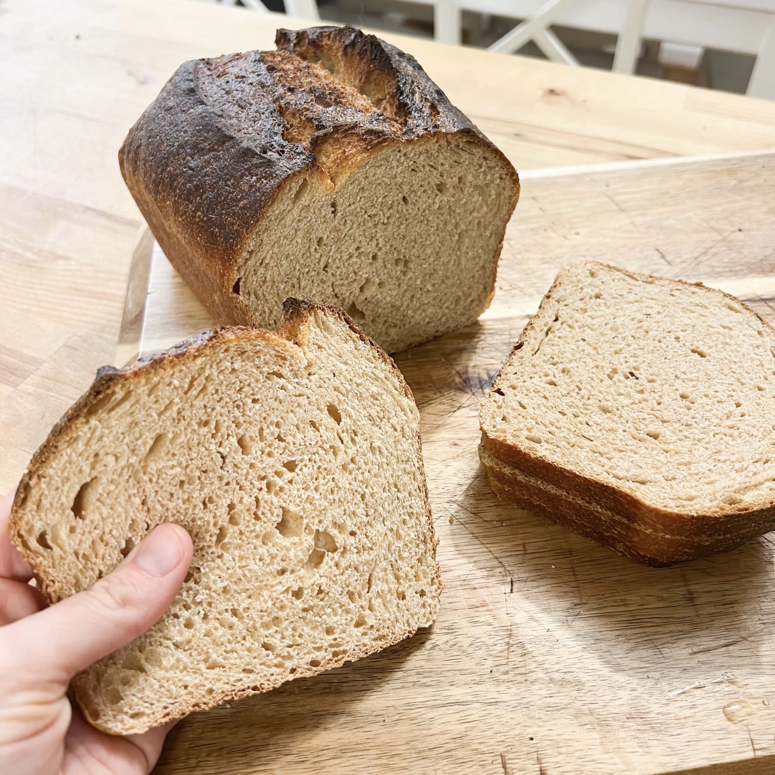 Whole Wheat Sourdough Bread Recipe